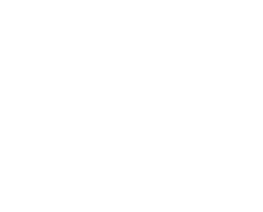 Night Party