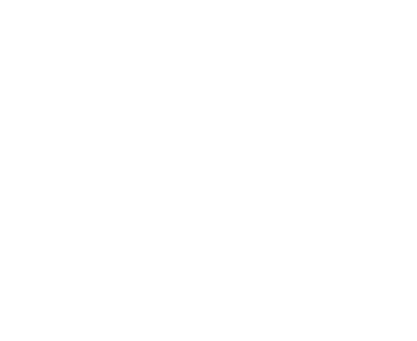 Party Style
